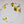 Pro Flashers Image