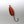 Pro Secret Lure | SEP's Pro Fishing