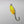 Pro Secret Lure | SEP's Pro Fishing
